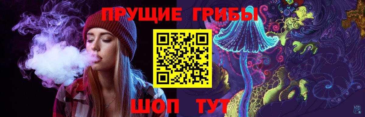 Псилоцибиновые грибы Cubensis Дзержинский